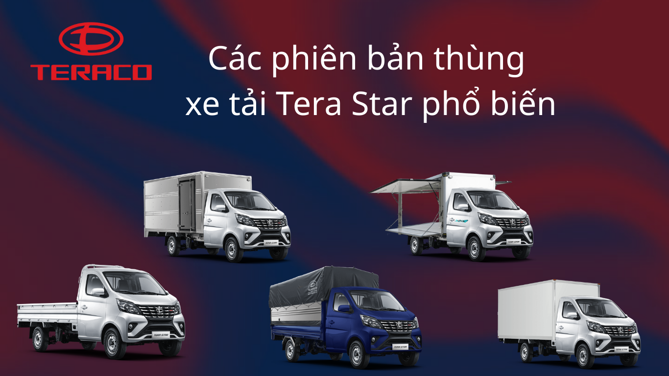 cac-phien-ban-thung-xe-tai-tera-star-pho-bien.png