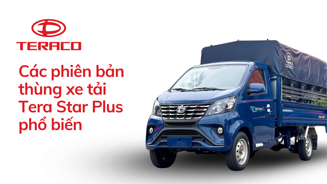 cac-phien-ban-thung-xe-tai-tera-star-plus-pho-bien.png