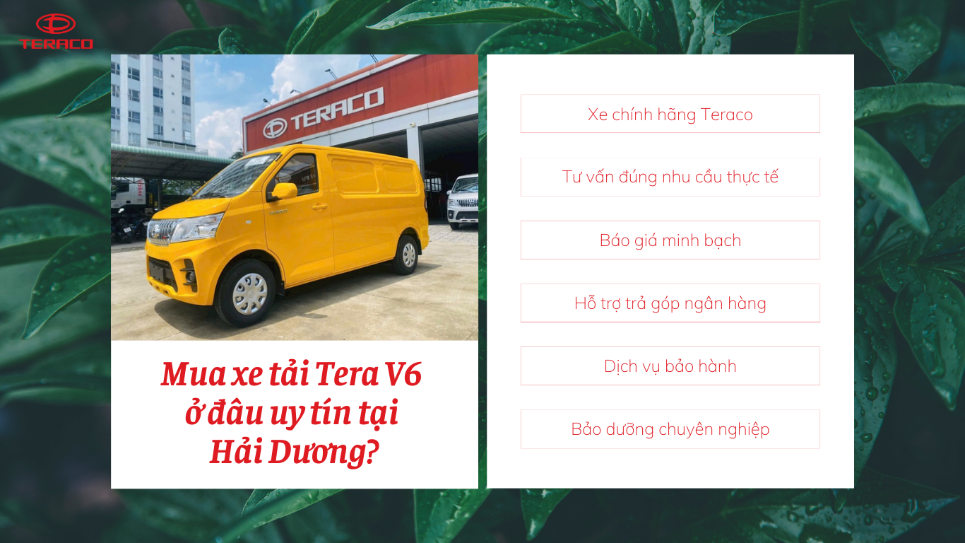 mua-xe-tai-tera-v6-o-dau-uy-tin-tai-hai-duong.png